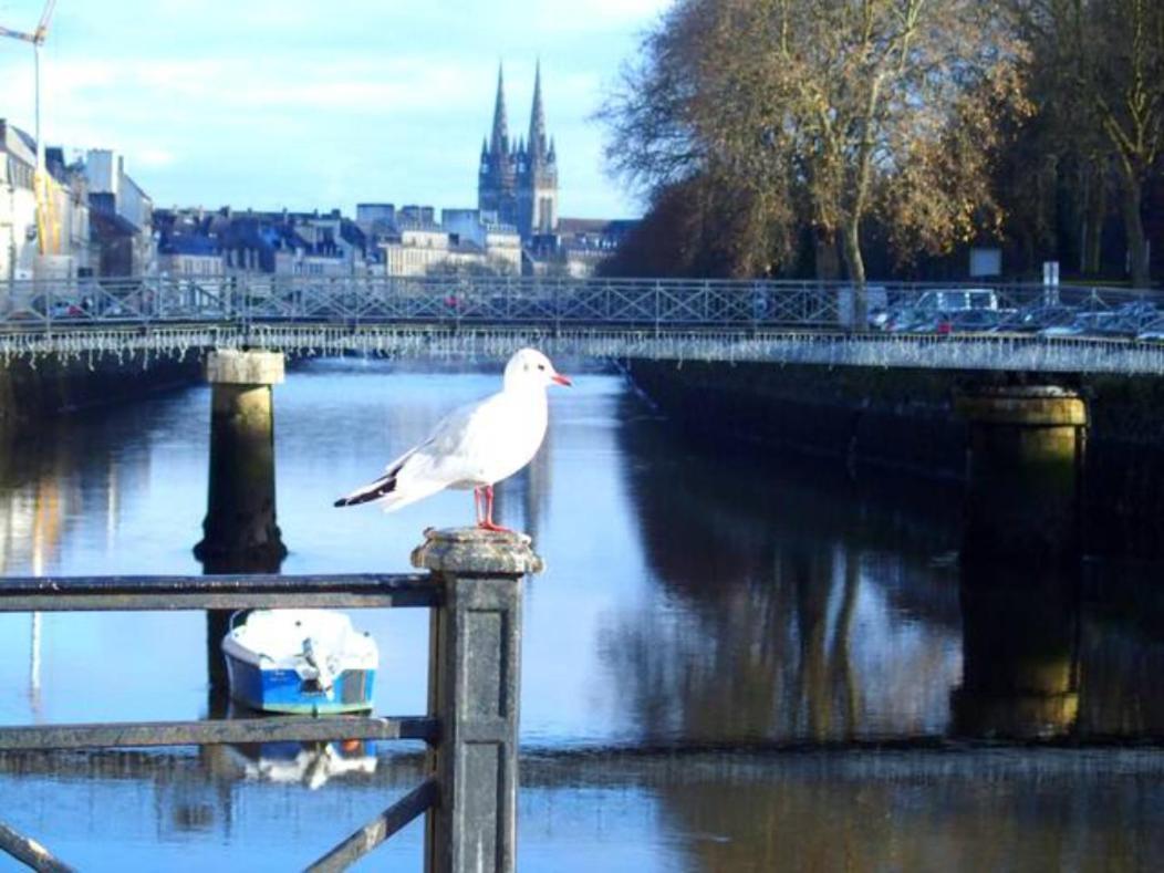 Sweet Home En Plein Coeur De Quimper Exterior photo